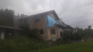 2012081117300000.jpg