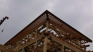 DSC_0038.jpg