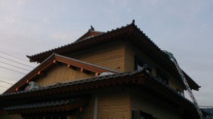 DSC_0077.jpg