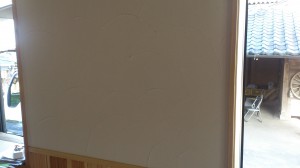 DSC_0239.jpg