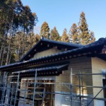 20180208_131751.jpg