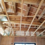 20180313_081237.jpg