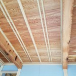 20180323_151339.jpg